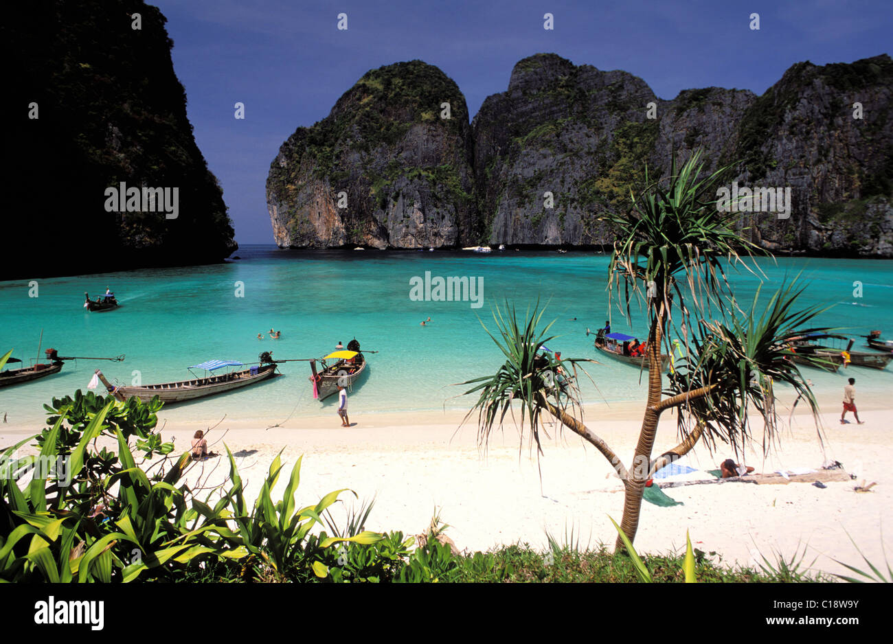 Thailandia, provincia di Krabi e Phi Phi Lee Isola, Maya Bay, la spiaggia è famosa in quanto il film La spiaggia è stato girato vi Foto Stock