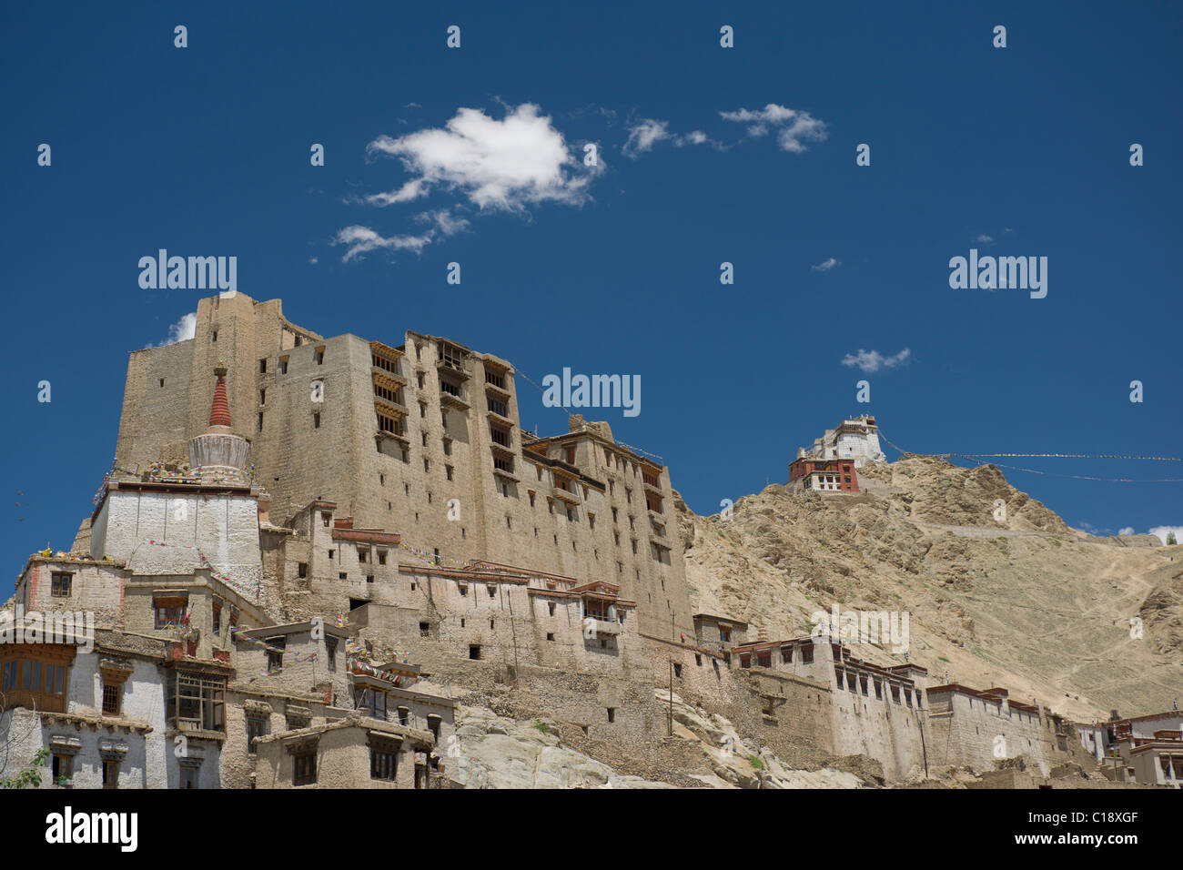 Leh Palace che sovrasta la città vecchia, con il Namgyal Tsemo Gompa dietro, Leh, (Ladakh) Jammu e Kashmir India Foto Stock