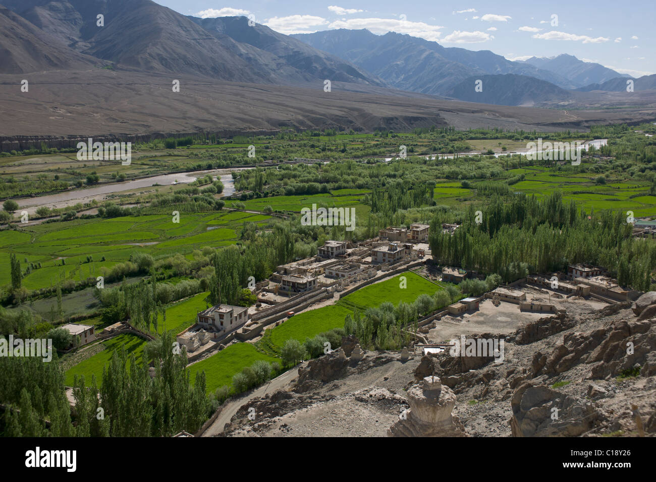 Valle fertile, visto da di Spituk Gompa, nei pressi di Leh, (Ladakh) Jammu e Kashmir India Foto Stock