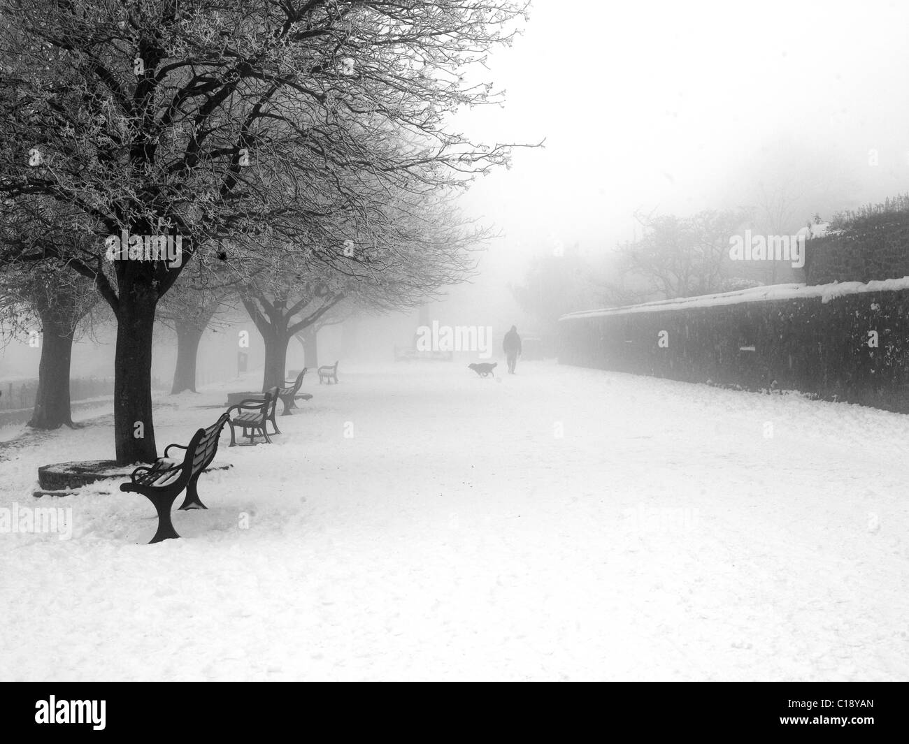 L uomo e il cane nella neve. Shaftesbury Inghilterra inverno scena di neve in Inghilterra Foto Stock