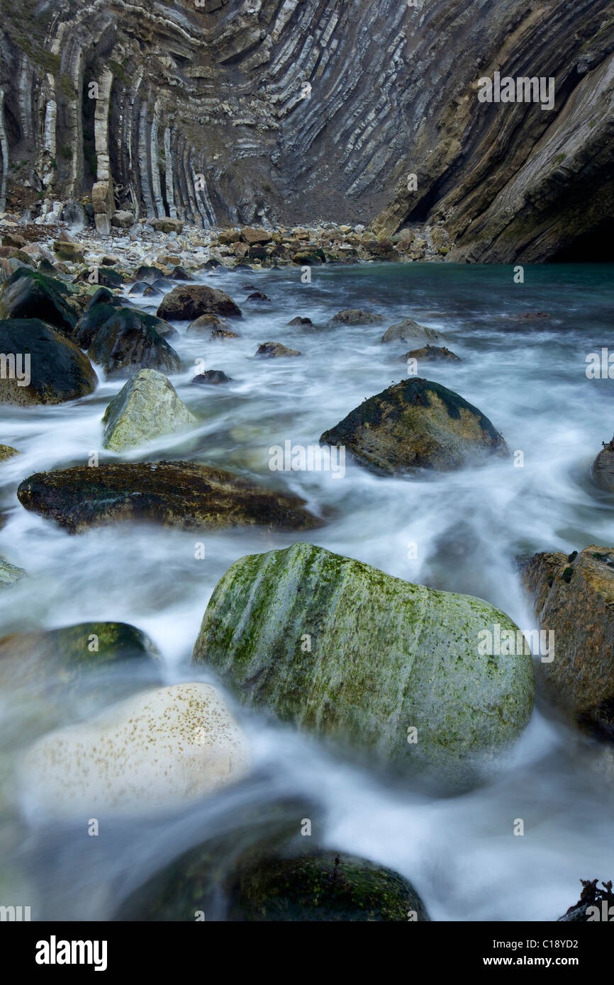 Ripiegata di calcare e di scisto, Lulworth Crumple, stair foro, Lulworth, Jurassic Coast Sito Patrimonio Mondiale, Dorset, England, Regno Unito Foto Stock