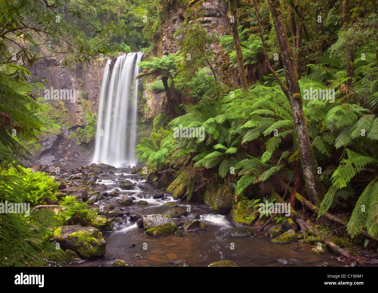 Hopetoun Falls (Aire fiume), grande Otway National Park, Victoria, Australia Foto Stock