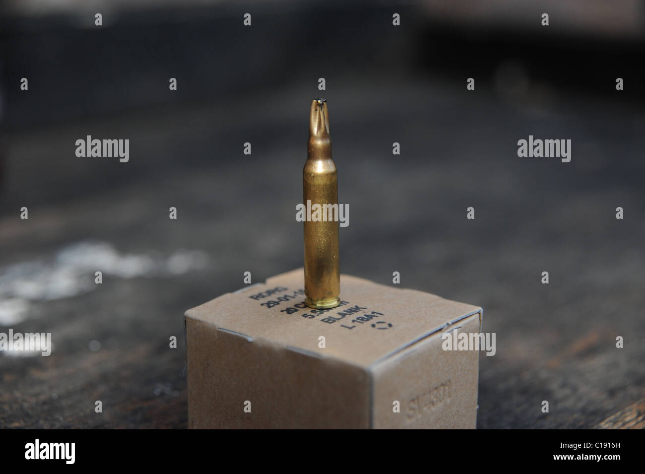 : 5,56mm cartuccia nero usata dalla British SA80 rifle Foto Stock