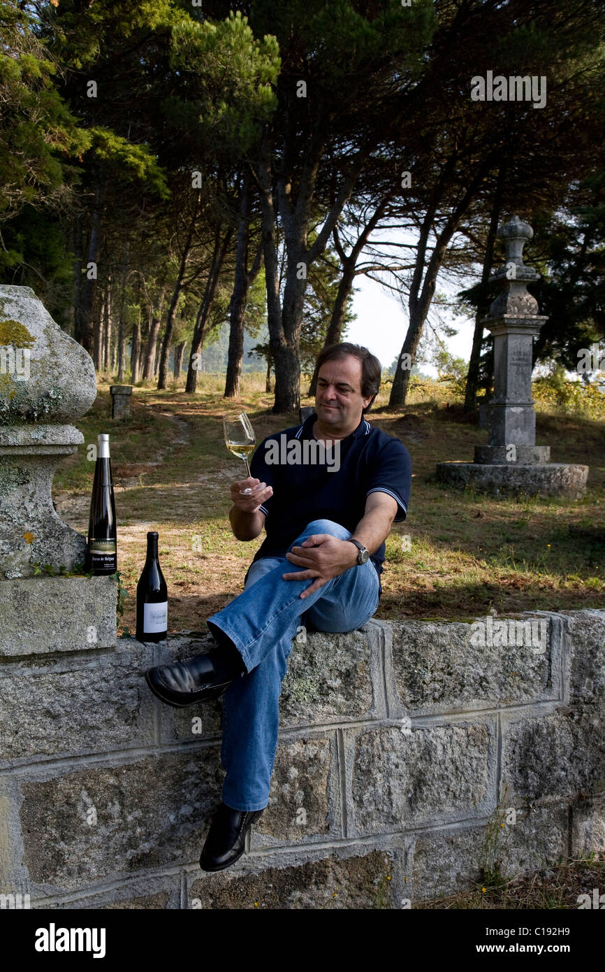 Enologo Anselmo Mendes, uno di maggior successo del Vinho Verde winemakers, Vila Nova de Anha vicino a Viana do Castelo Foto Stock