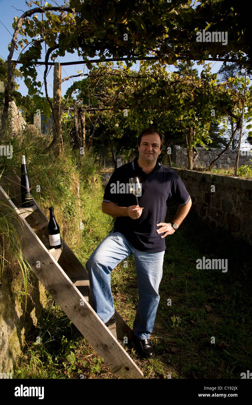 Enologo Anselmo Mendes, uno di maggior successo del Vinho Verde winemakers, Vila Nova de Anha vicino a Viana do Castelo Foto Stock
