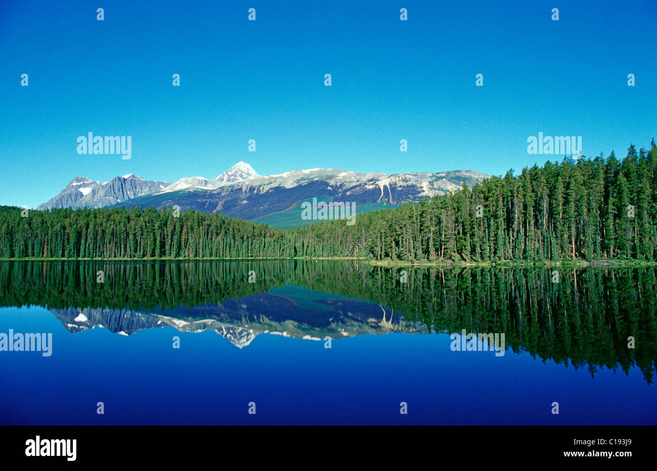 La riflessione di acqua in un lago, il Parco Nazionale di Jasper, Alberta, Canada, America del Nord Foto Stock
