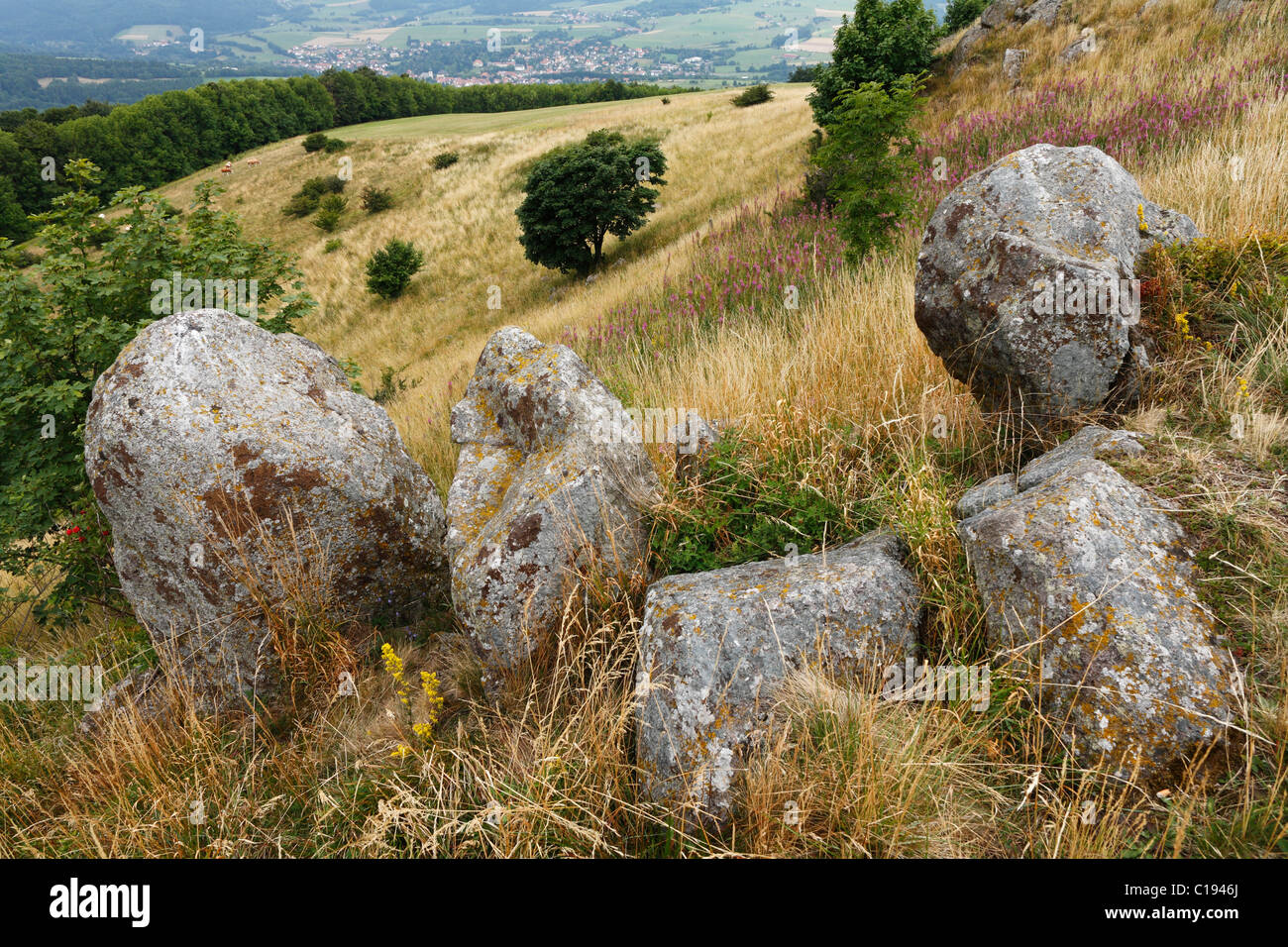Rocce basaltiche che su Simmelsberg vicino Gersfeld, Rhoen, Turingia, Germania, Europa Foto Stock
