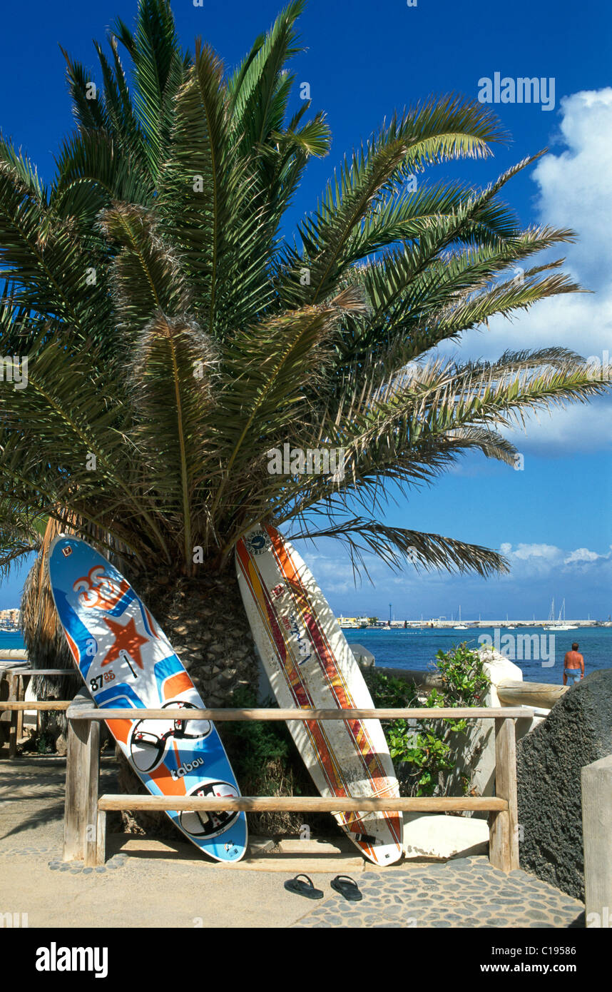 Tavole da surf di una scuola di windsurf in Corralejo, Fuerteventura, Isole Canarie, Spagna, Europa Foto Stock