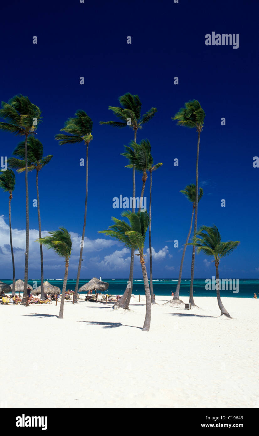 Palm Beach su Playa Bavaro, Punta Cana, Repubblica Dominicana, dei Caraibi Foto Stock