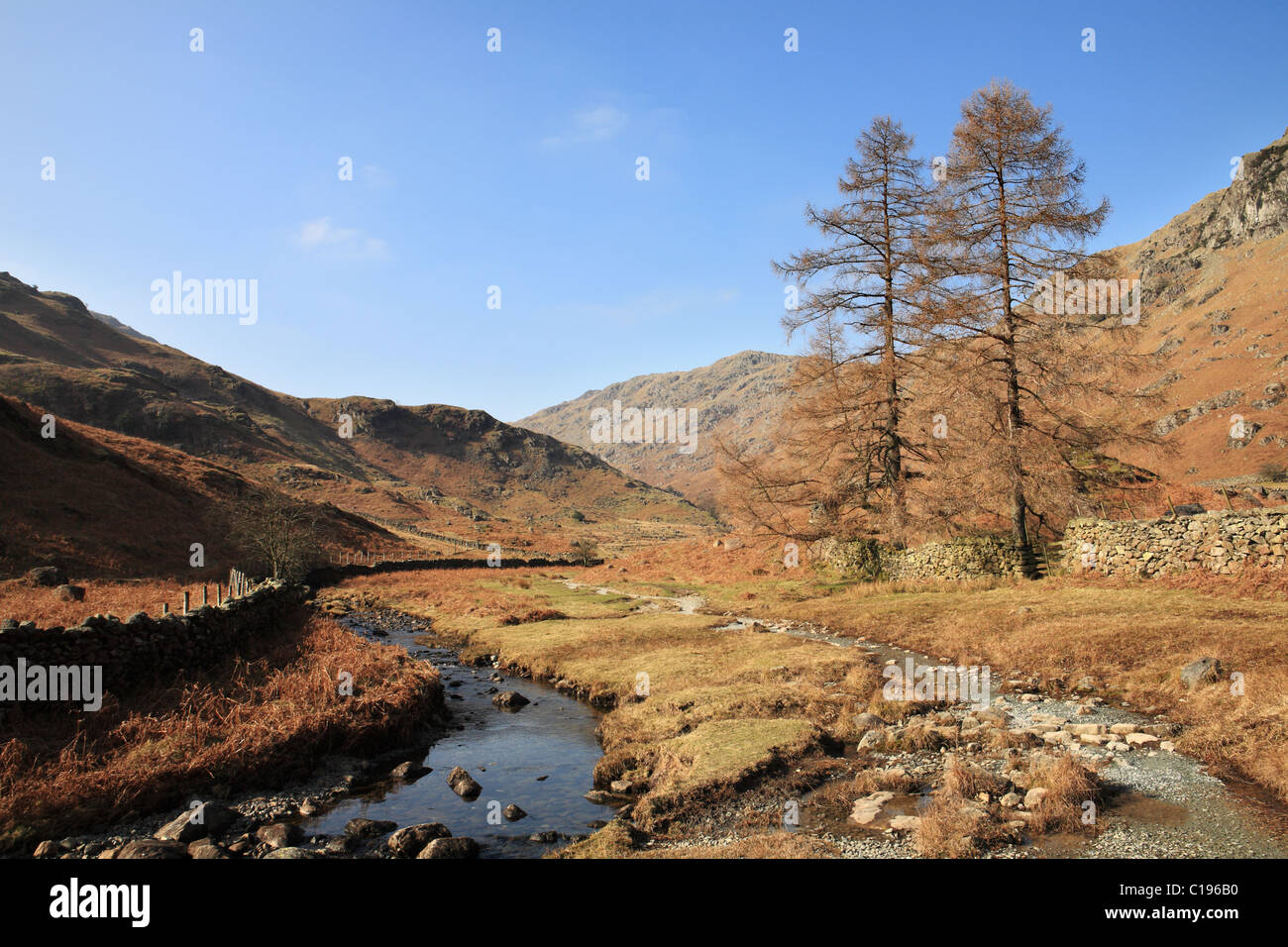 La valle di lontano Easedale Gill, vicino a Grasmere, Lake District inglese. Foto Stock