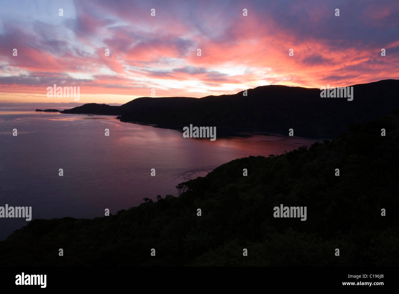 Collinare paesaggio verde in Marlborough Sounds nella luce della sera, Marlborough, Isola del Sud, Nuova Zelanda Foto Stock