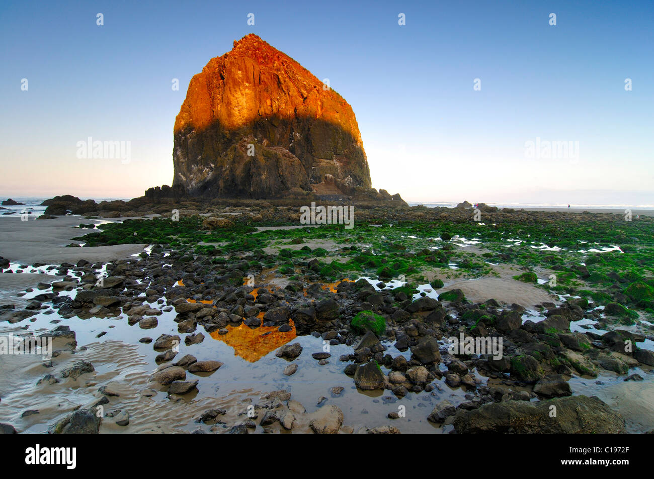 Famoso 'Haystack Rock' monolito, lava solidificata rock a Cannon Beach, attrazione turistica, Contea di Clatsop, Oregon, Stati Uniti d'America Foto Stock