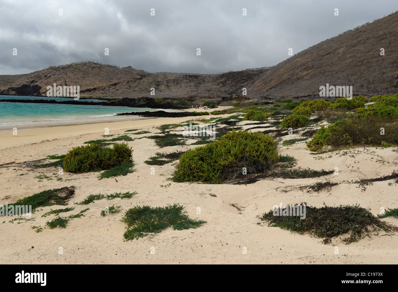 Spiaggia di sabbia bianca sul lato orientale di Punta Cormoran, dove tartarughe marine verdi preferiscono nido, isola Floreana, Galapagos Foto Stock