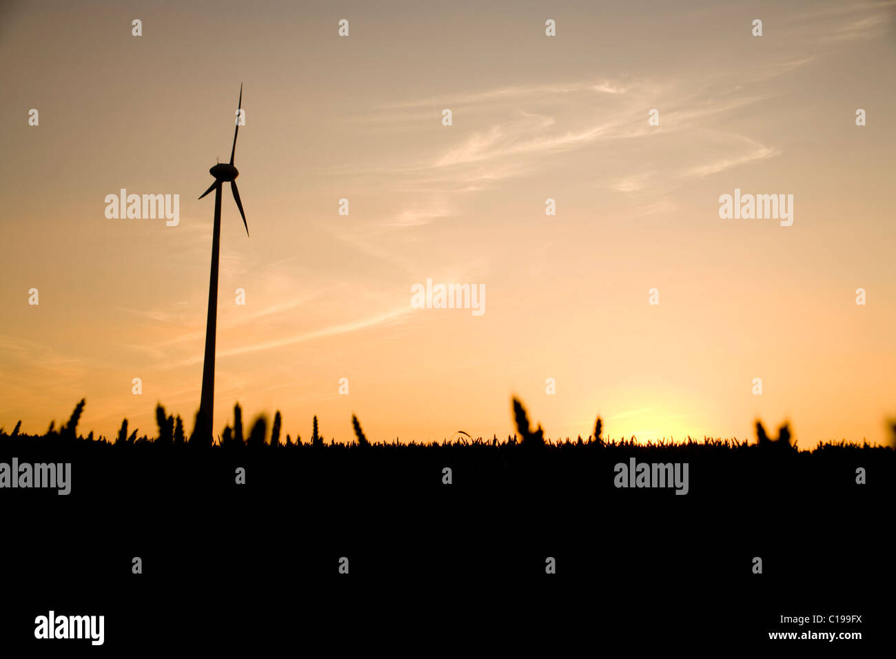 Turbina eolica silhouette passando da un campo all'imbrunire Foto Stock