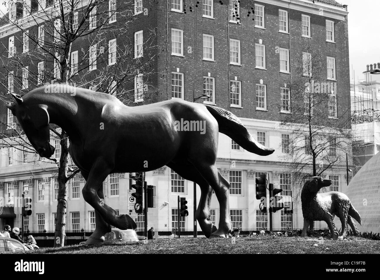Un monumento degli animali il combattuto nelle grandi guerre, 'Non avevano scelta' London Inghilterra England Foto Stock