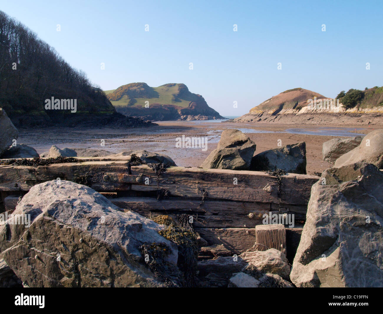 Struttura di frangionde watermouth, Devon, Regno Unito Foto Stock