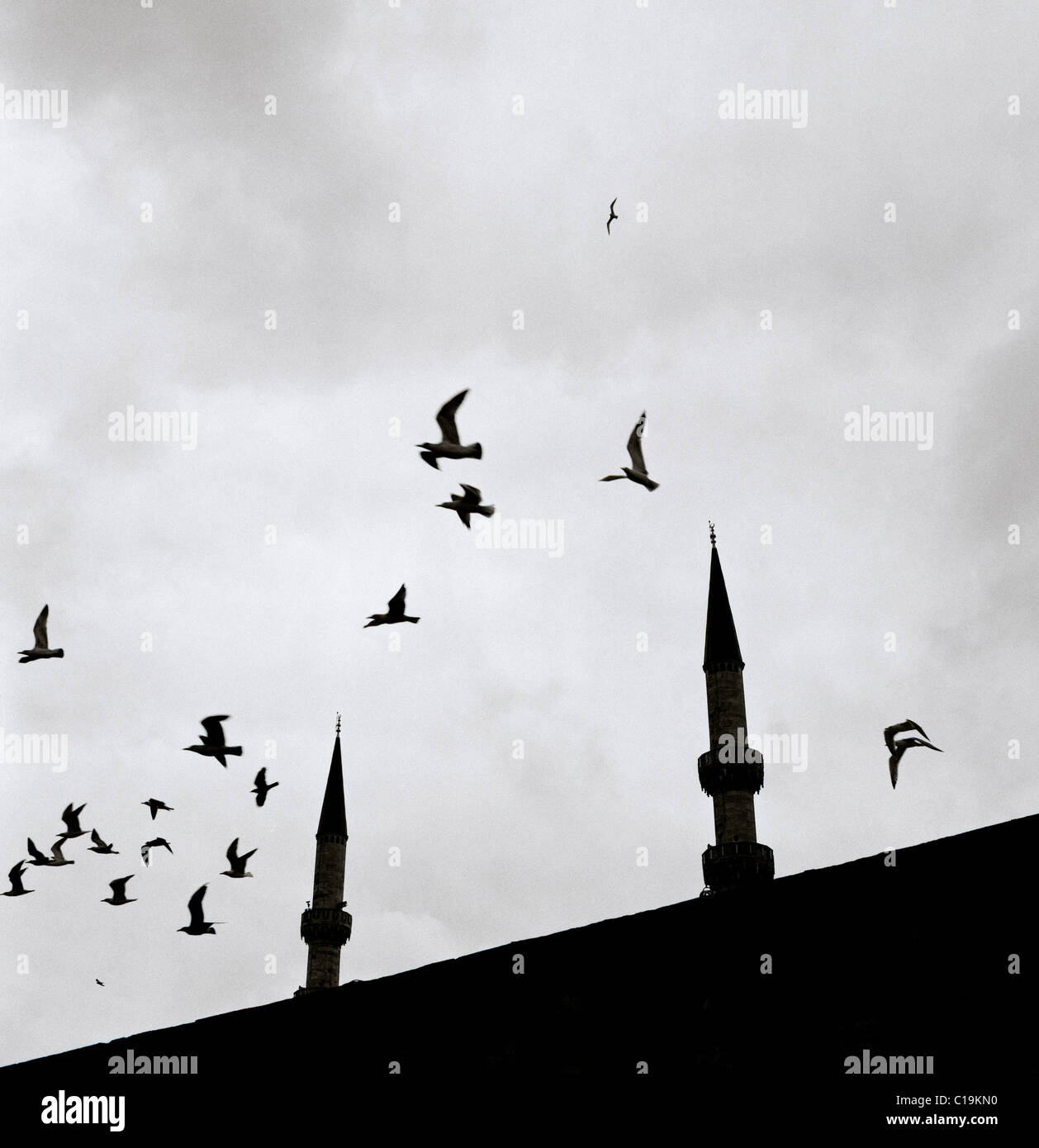 Ethereal bird in scena a Istanbul in Turchia nel Medio Oriente. Sky nuvole temporalesche nuvoloso Cloud spiritualità spirituale serenità Haunting uccelli viaggi di volo Foto Stock