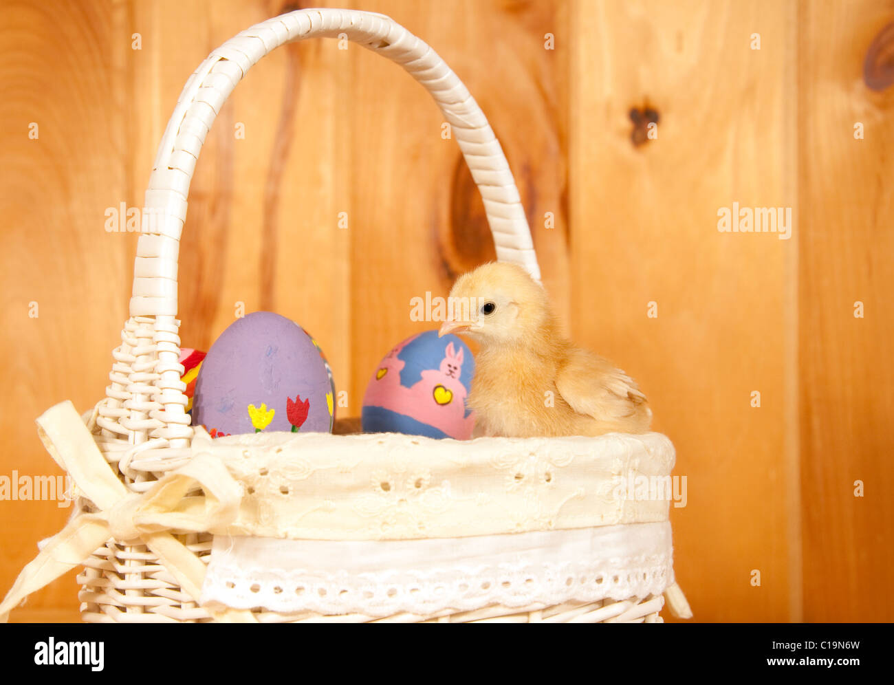 Pulcino di pasqua seduto in un cestello con colorate uova di Pasqua, contro il legno rustico sfondo Foto Stock