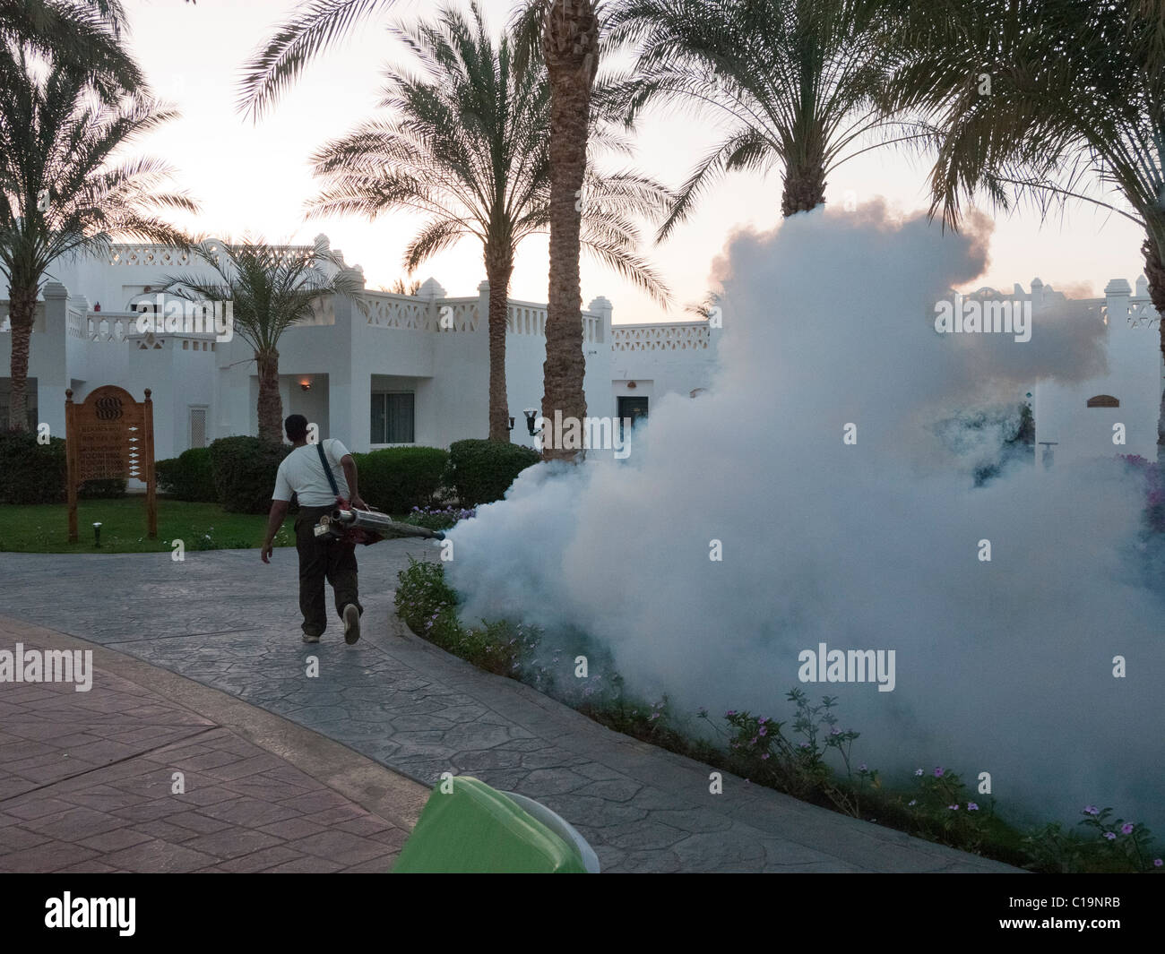 Un hotel lavoratore fumigates siepi e impianto per uccidere insetti Foto Stock