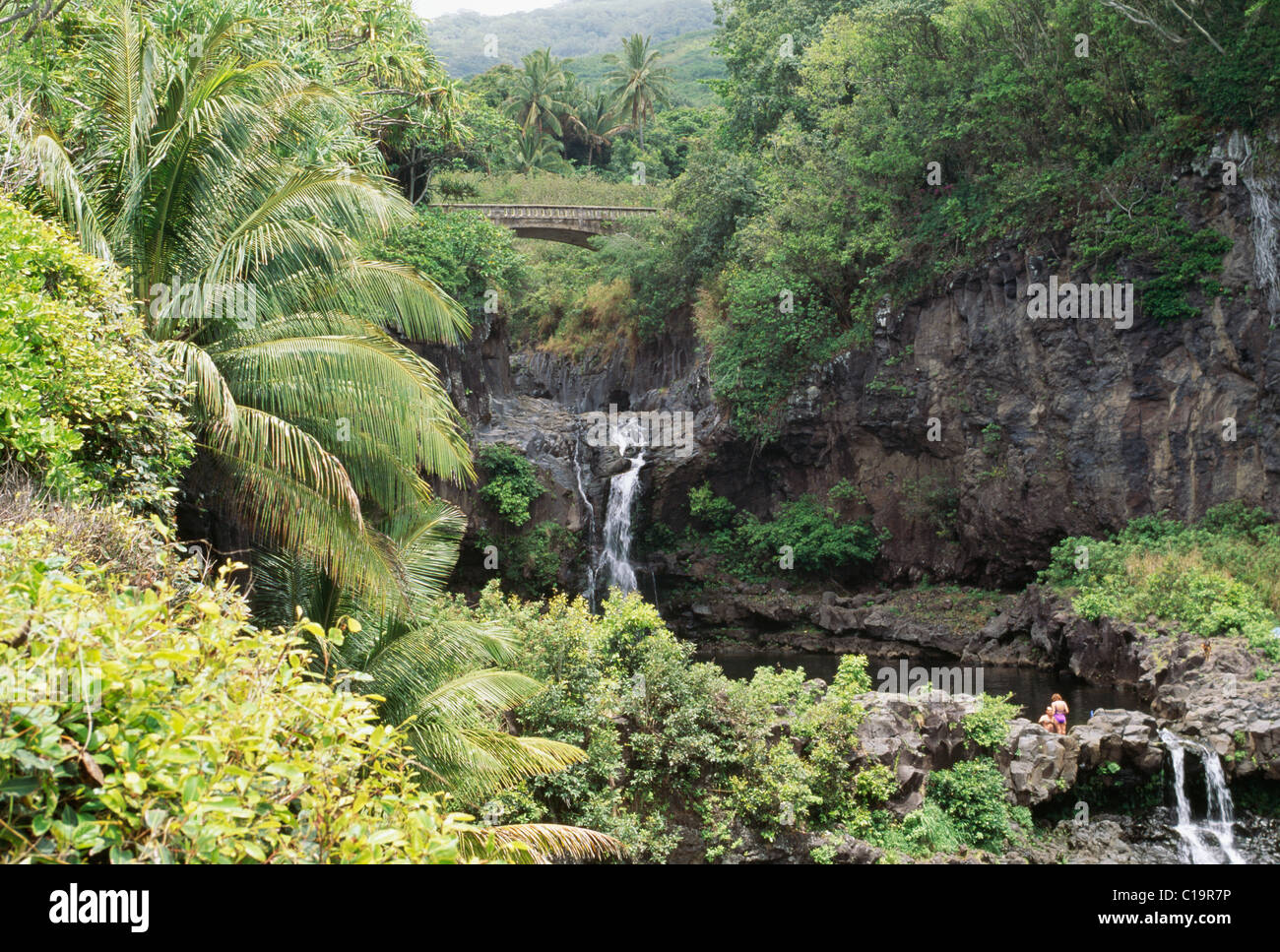 7 piscine, Oheo Gulch, Kip[ahulu, Hana Costa, Maui, Hawaii Foto Stock