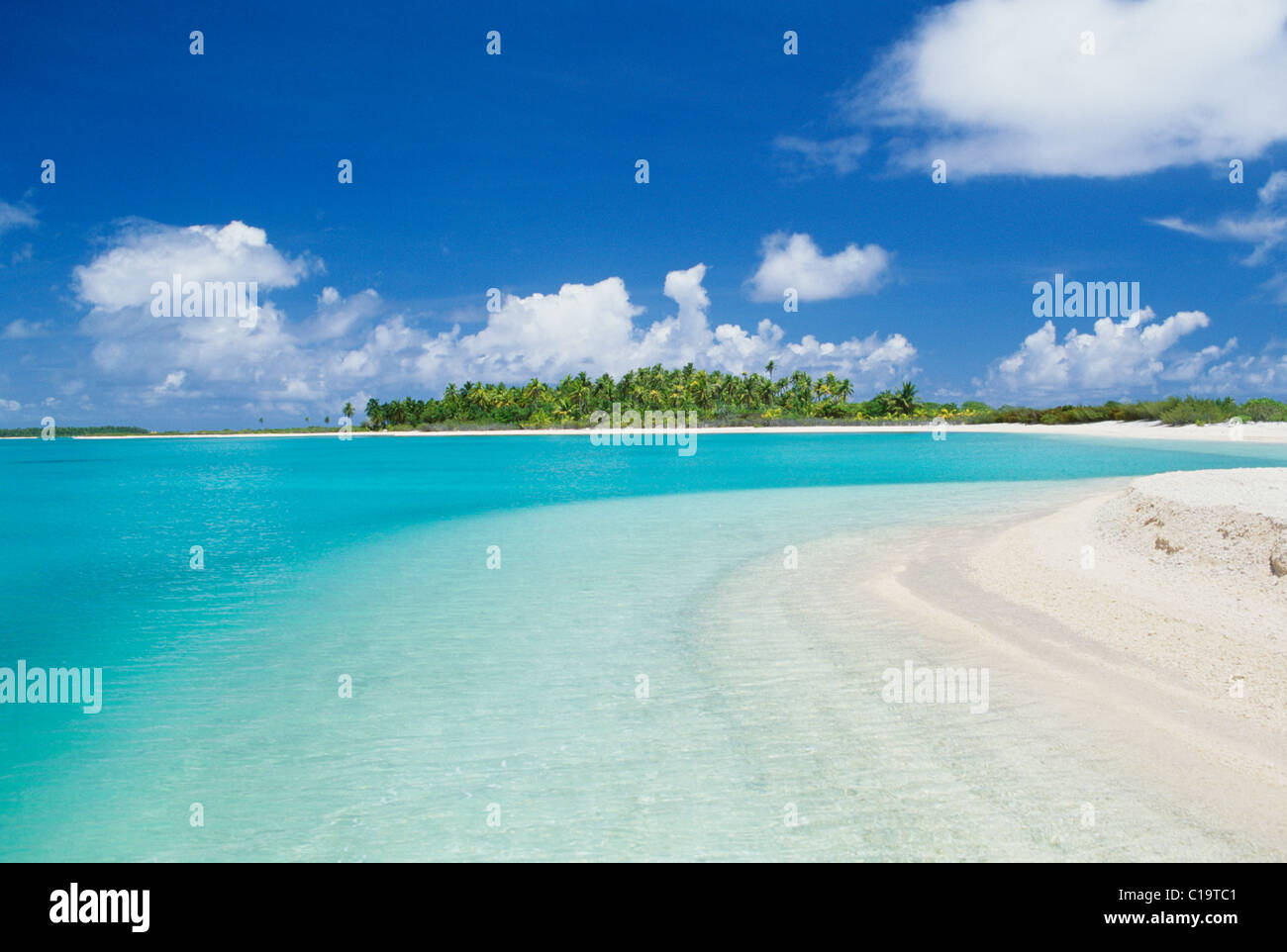 Spiaggia, Rangiroa, Polinesia Francese Foto Stock