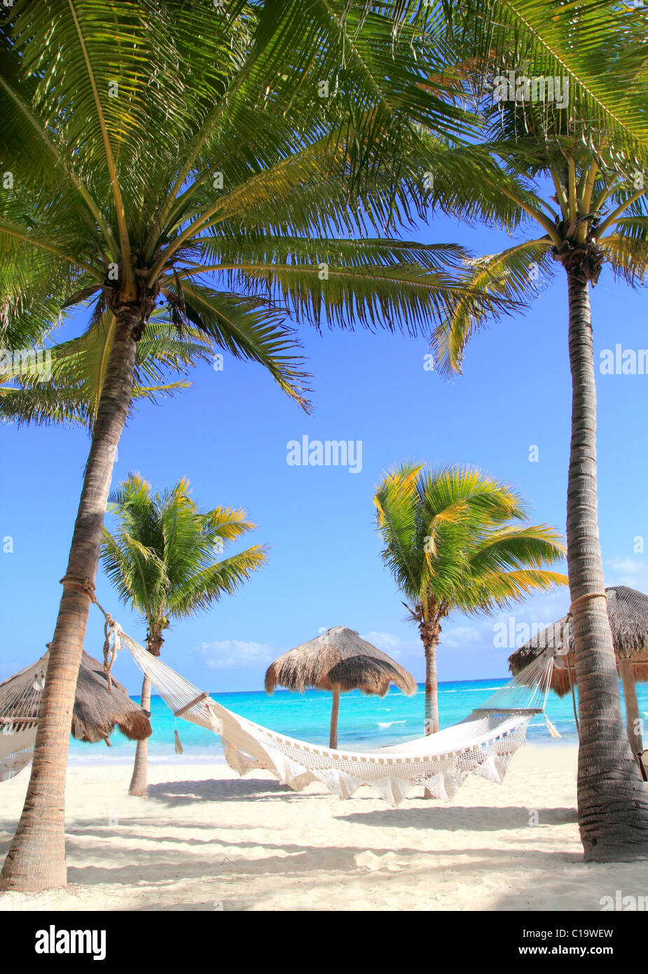 Spiaggia caraibica amaca e palme in Riviera Maya Messico Foto Stock