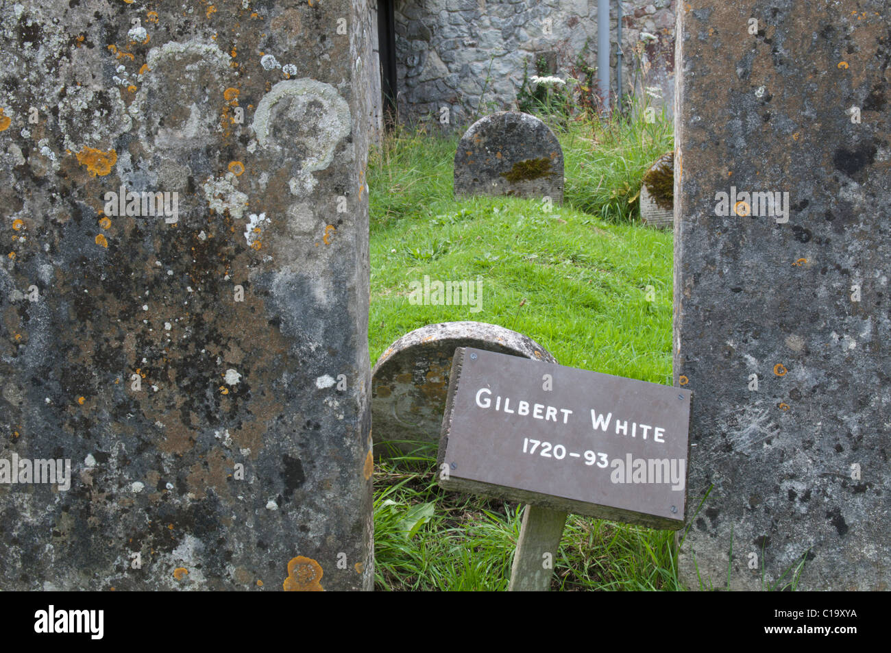 Tomba di Gilbert bianco, naturalista britannico e pastori, autore della Storia Naturale di Selborne, accanto Selborne chiesa Foto Stock