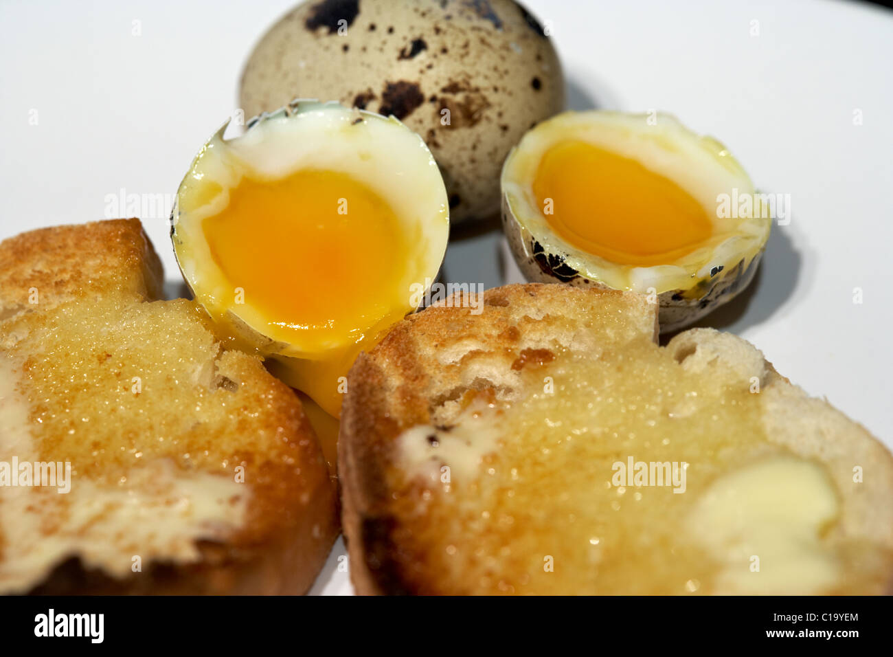 Soft boiled Virga di uova di quaglia imburrata e pane tostato Foto Stock