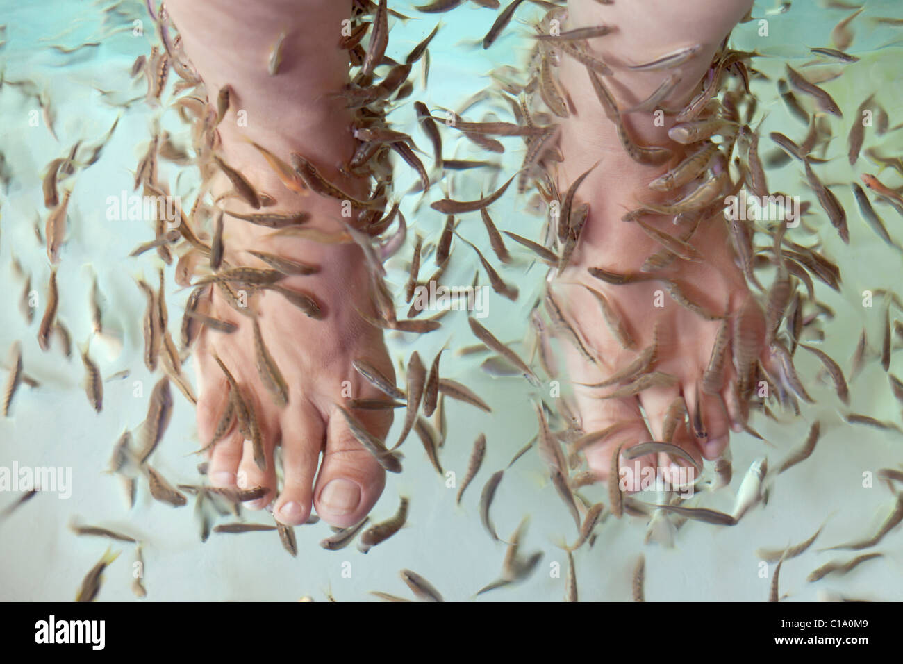 Massaggio di pesce Foto Stock