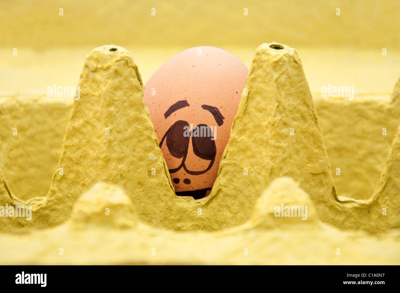 Gruppo di uova fresche con facce disegnate che raffigurano emozioni diverse disposte in un cartone confezione di uova contro il bianco. Foto Stock