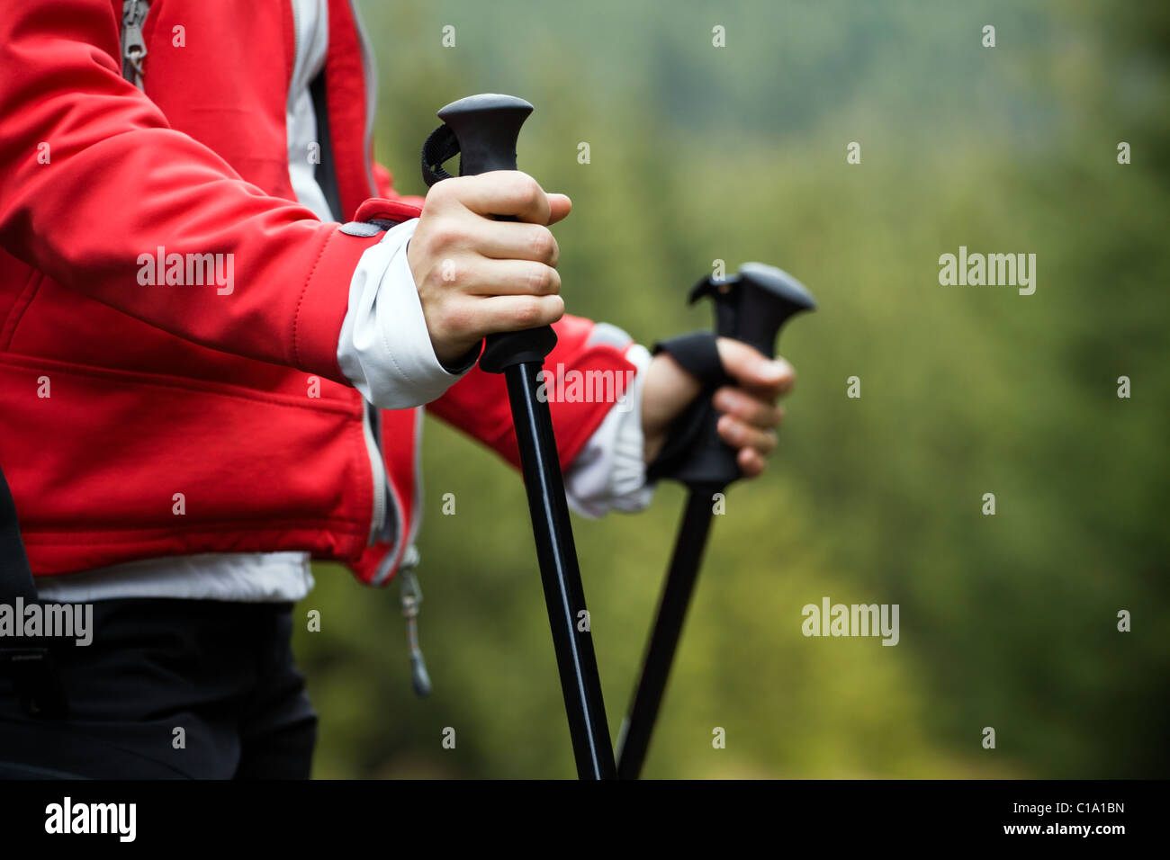 Il Nordic Walking in autunno le montagne Foto Stock