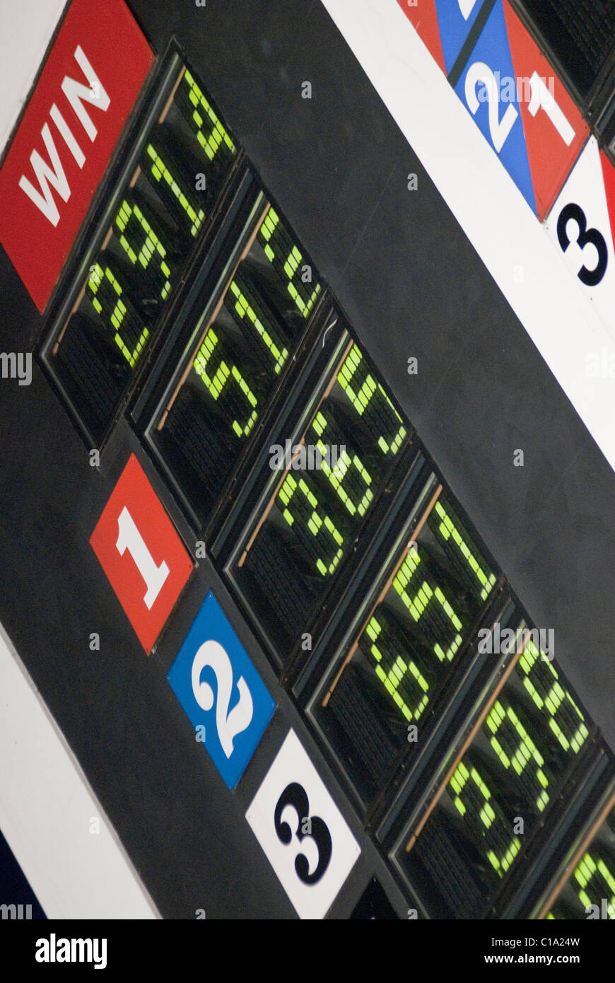 Lo stadio Walthamstow Greyhound Racing cane via East End di Londra Inghilterra. Close up quote scommesse per ogni cane. Foto Stock