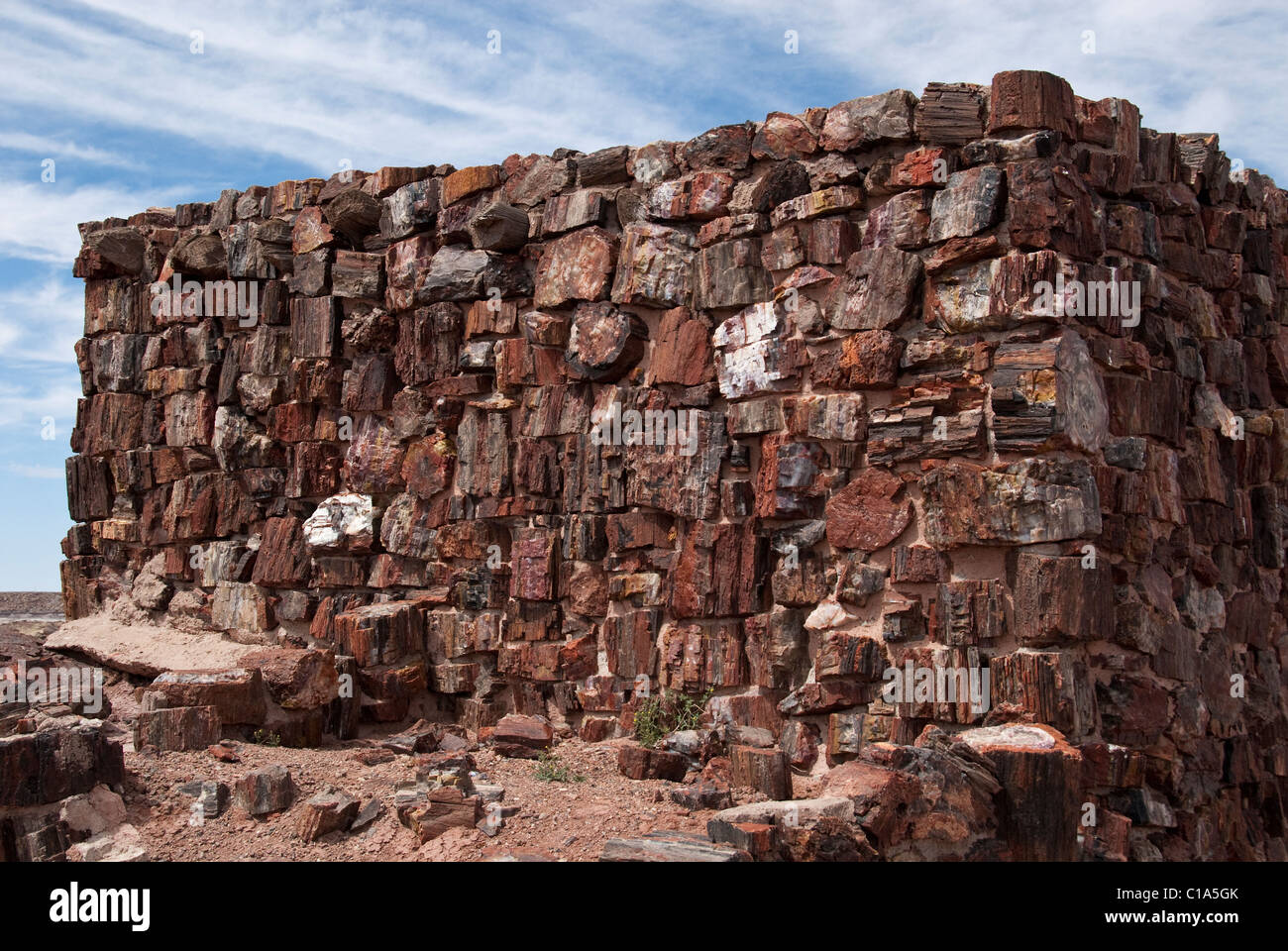 Casa di agata Parco Nazionale della Foresta Pietrificata in Arizona USA Foto Stock