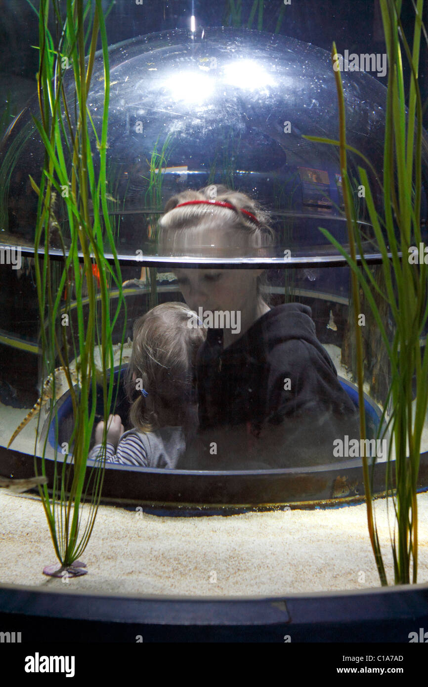 I bambini in una bolla di vetro di visualizzazione in un acquario Foto Stock