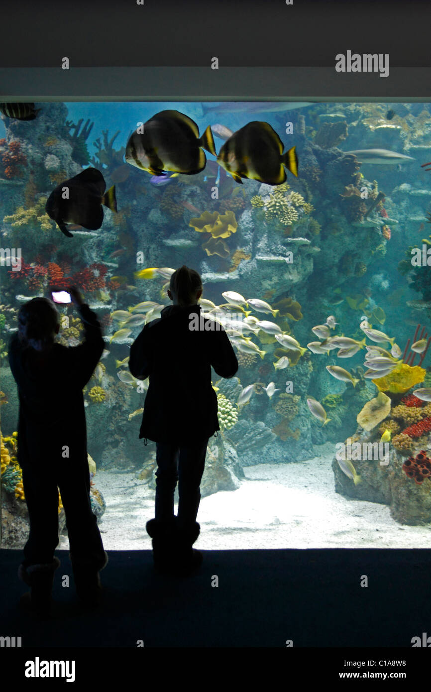 Due ragazze guardando i pesci tropicali in un acquario enorme serbatoio Foto Stock