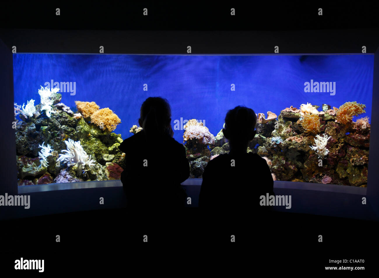 Ragazze cercando in un serbatoio di acquario Foto Stock
