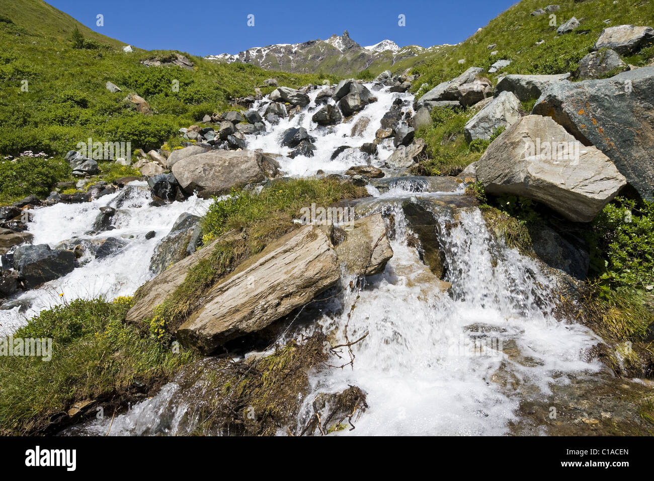 Ruscello di montagna nelle Alpi Foto Stock
