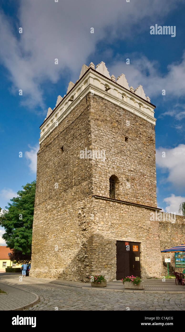 Torre di difesa e museo a Krapkowice, Opolskie, Alta Slesia, Polonia Foto Stock