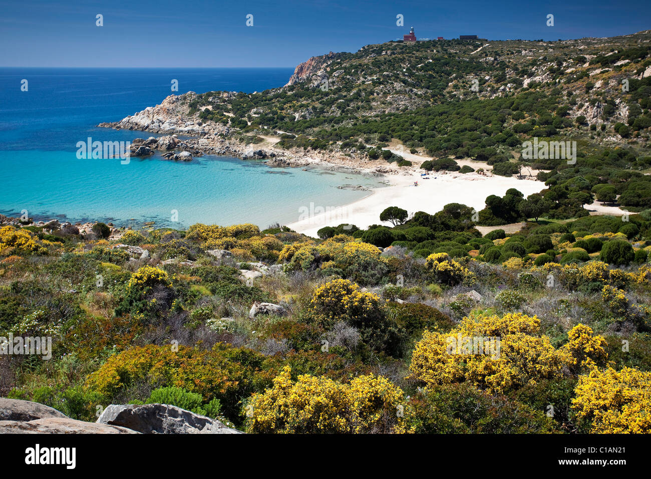 Spiaggia Di Cala Cipolla Chia Domus De Maria Ca