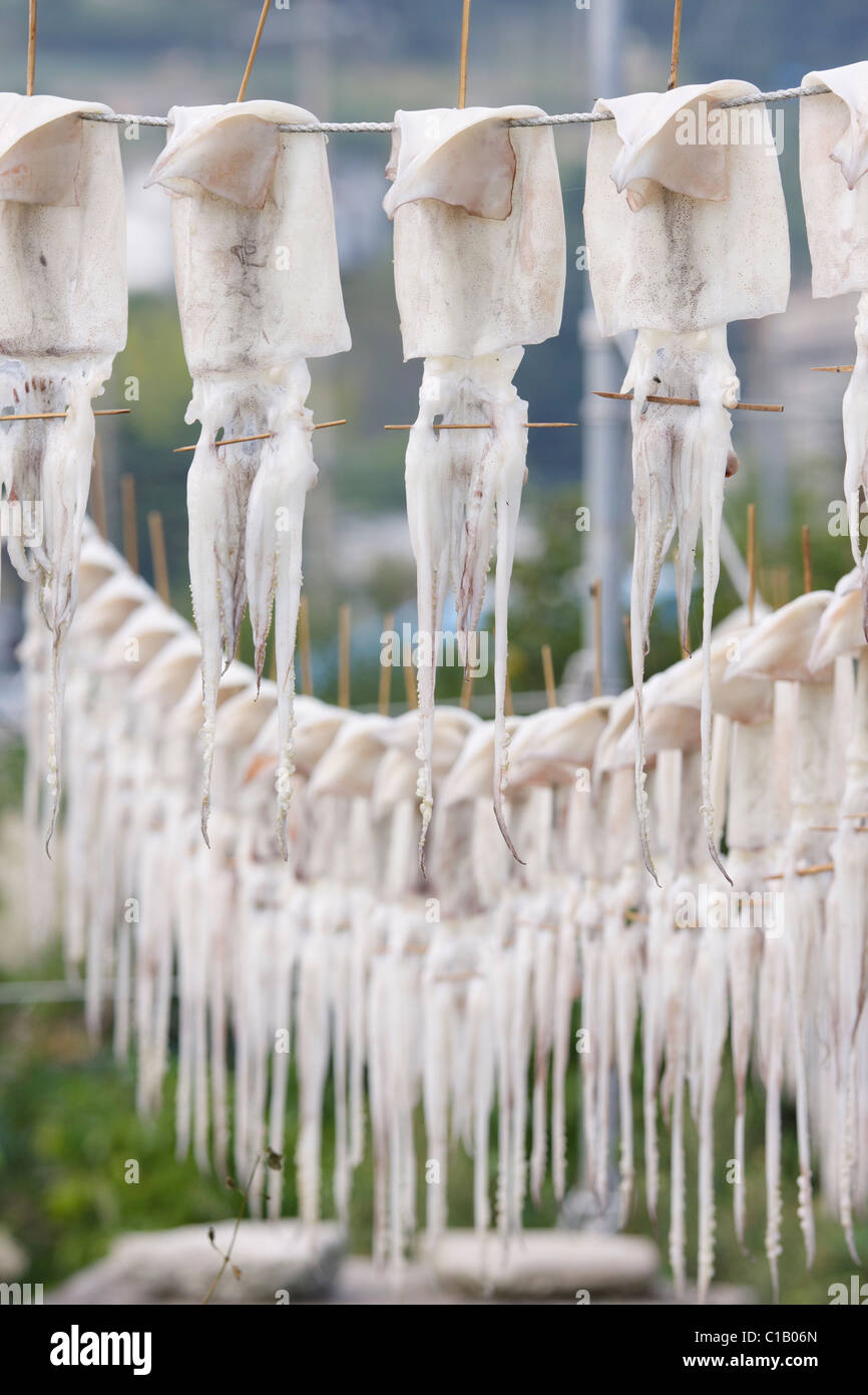 Calamari essiccazione su linee, Corea del Sud (verticale) Foto Stock