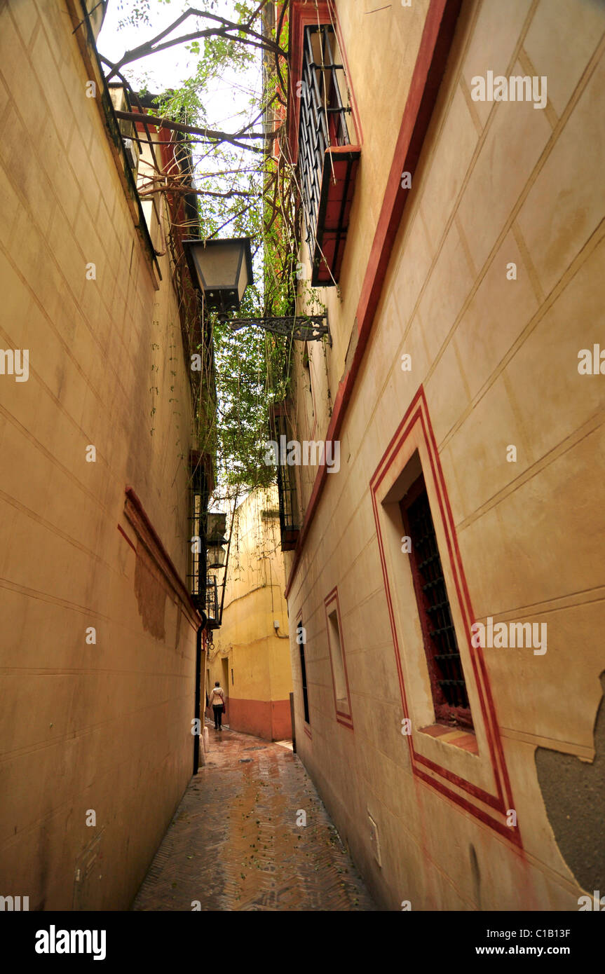 Street a Siviglia Foto Stock