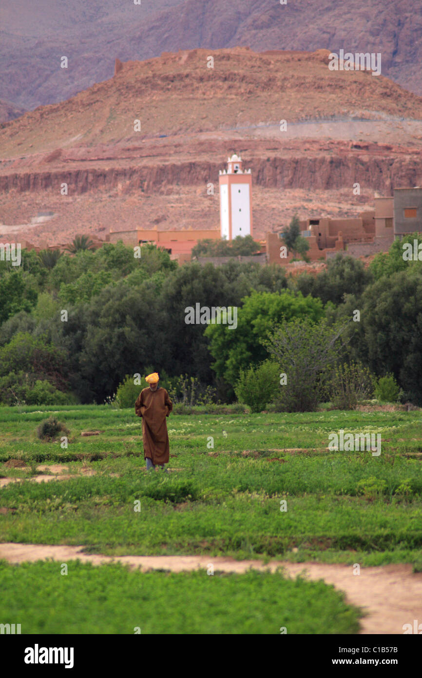 Uomo che indossa djellabah contro un minareto della moschea passeggiate in un oasi/palmery vicino Tinehir nella valle di Dades, sud del Marocco Foto Stock