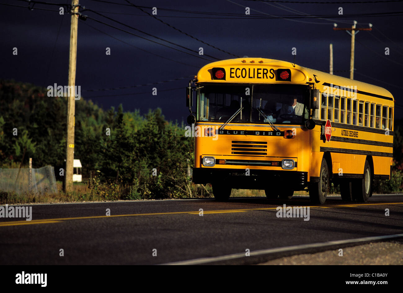 Canada, Québec provincia, regione di Manicouagan, Tadoussac, scuola bus Foto Stock