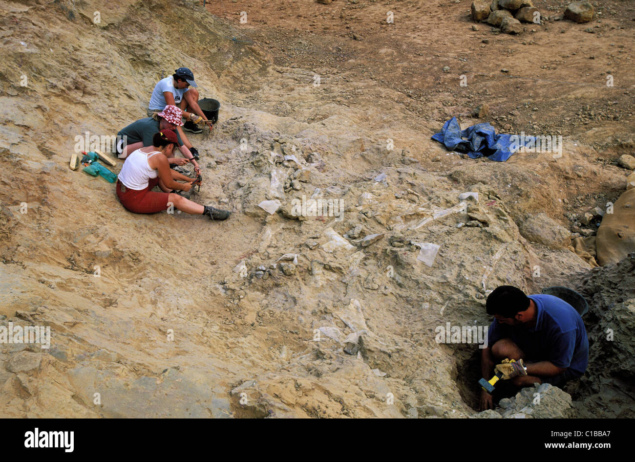 Francia, Aude, Esperaza, Scavi di fossili di dinosauro Foto Stock