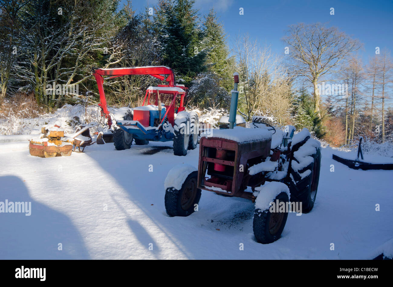Due trattori di lavoro nel cantiere forestale dopo una forte caduta di neve sotto il sole Foto Stock