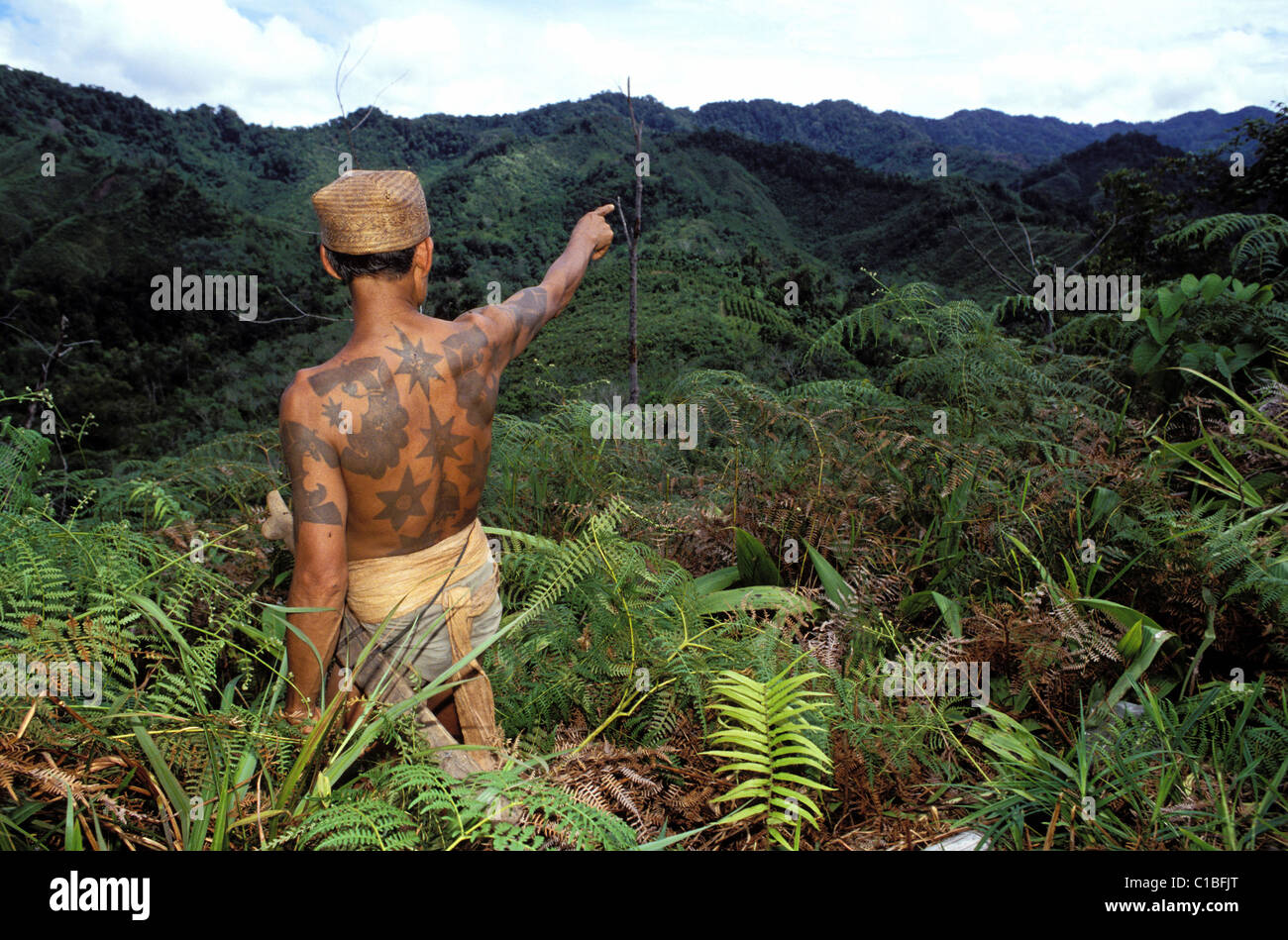 La Malesia, Borneo Isola, Sarawak, Iban guerriero con tatuaggi (tribù dayak) che mostra il suo campo di caccia nella foresta primaria Foto Stock