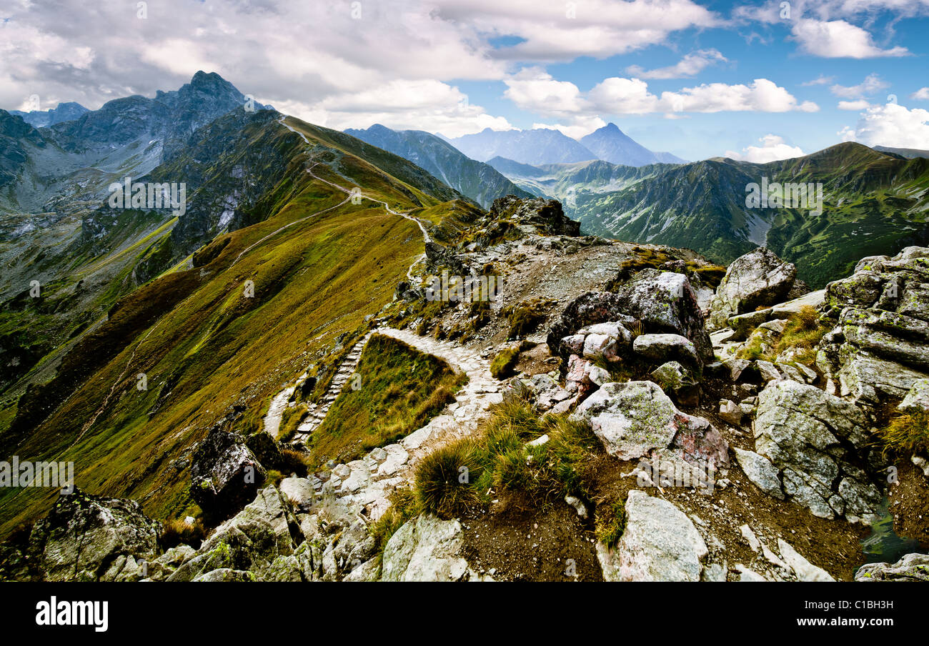 Estate paesaggio di montagna in polacco Tatry Foto Stock