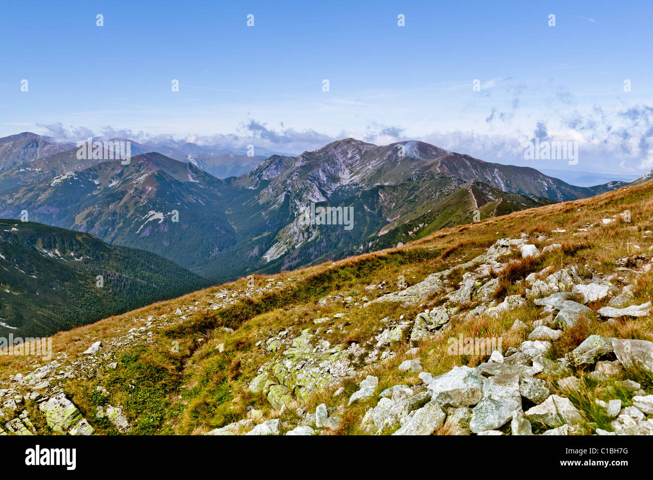 Estate paesaggio di montagna in polacco Tatry Foto Stock