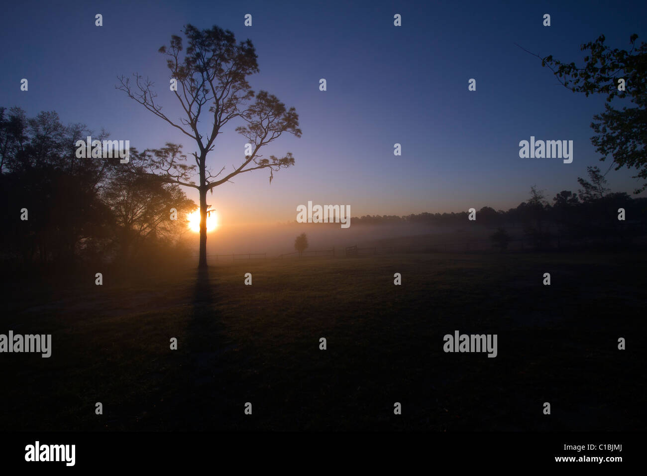 North Florida Camp cristiana sunrise. Foto Stock