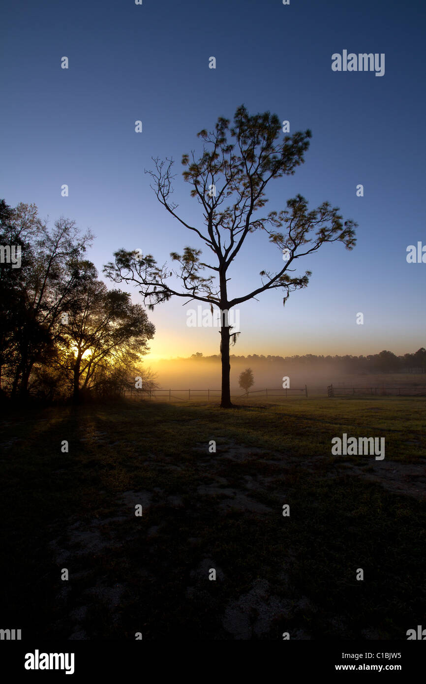 North Florida Camp cristiana sunrise. Foto Stock